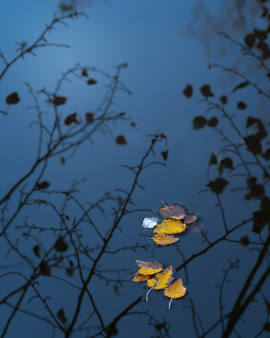 Autumn Reflections