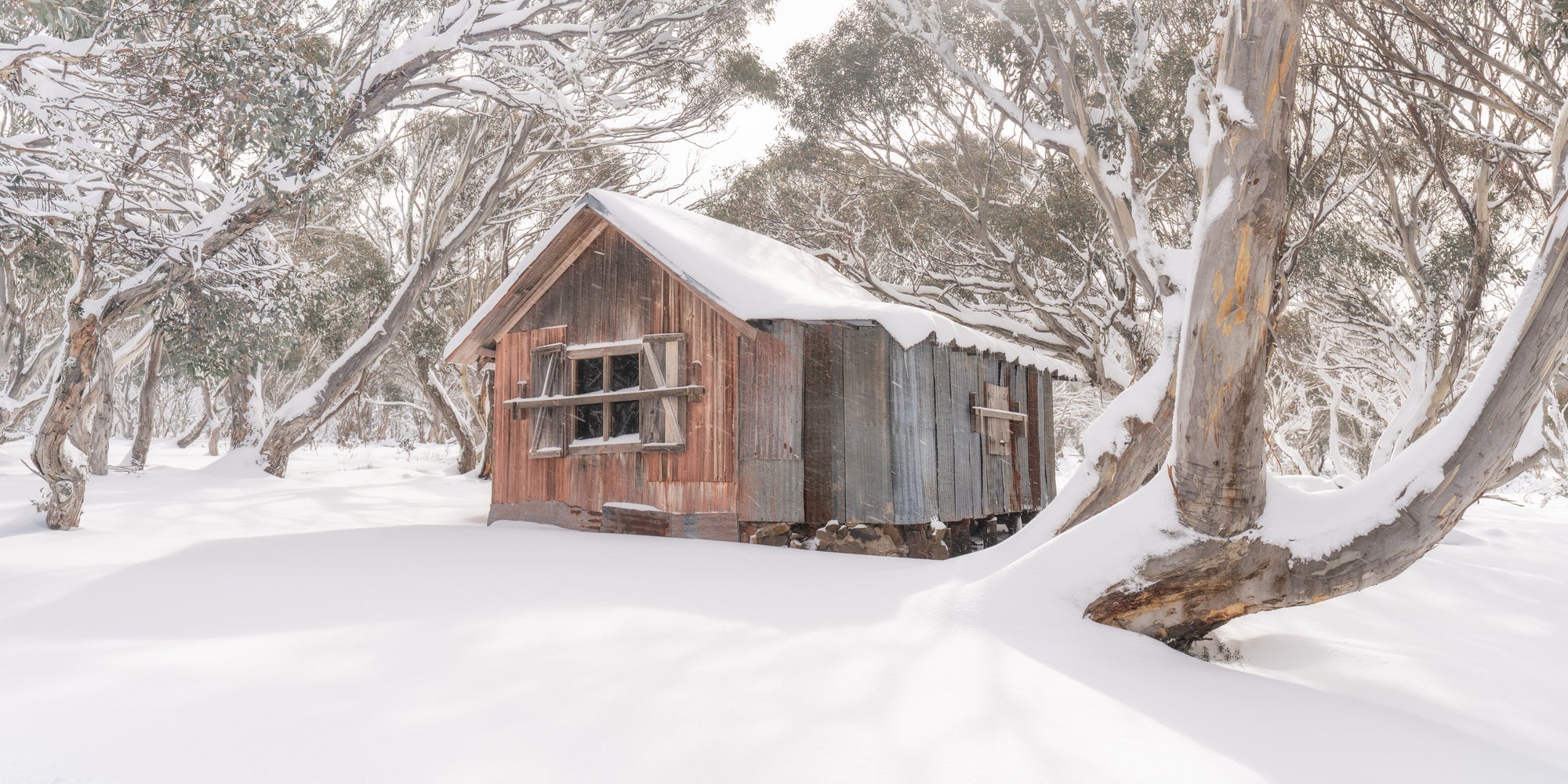 The Cattleman&#39;s Refuge